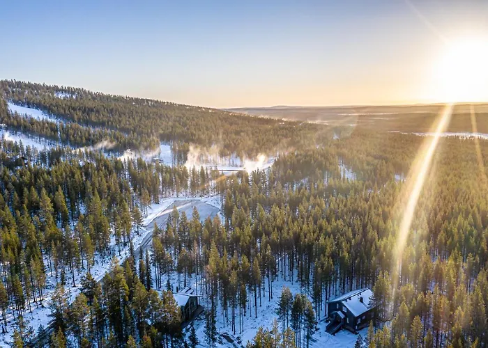 Daire Karhupiha Levi